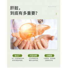 美國Nature Made奶薊草水飛薊素肝臟膠囊解酒熬夜必備護肝50片
