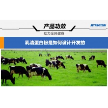 MyProtein英國進口巧克力味乳清蛋白粉25g3倍購減脂運動健身成人