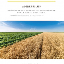養生堂復合維生素B族60片多種維生素b1b2b6b12緩解疲勞熬夜常備