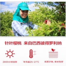 【預付立減40】養生堂天然維生素C咀嚼片70片*2增強免疫力
