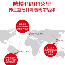 【預付立減40】養生堂天然維生素C咀嚼片70片*2增強免疫力