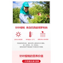 【預付立減40】養生堂天然維生素C咀嚼片70片*2增強免疫力