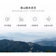 CONBA/康恩貝富元康R破壁靈芝孢子粉3g/袋*30袋增強免疫力