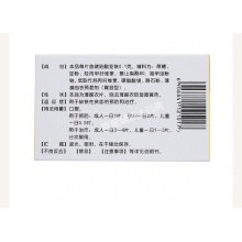 速力菲琥珀酸亞鐵片20片補鐵補血生血預防和治療缺鐵性貧血官方