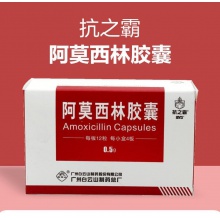 抗之霸阿莫西林膠囊0.5g*12粒*4板/盒血壓下降泌尿生殖道感染上呼吸道感染皮膚軟組織感染消炎消化道潰瘍咽炎支氣管炎鼻竇炎中耳炎