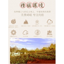 云南白藥三七超細粉300g文山產37粉田七頭打粉