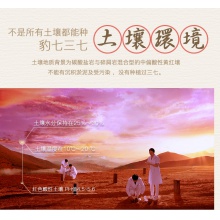 云南白藥三七超細粉300g文山產37粉田七頭打粉
