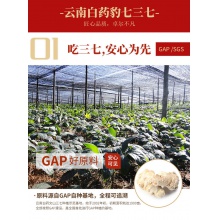 云南白藥熟三七粉120g文山產37粉田七頭打粉 官方正品